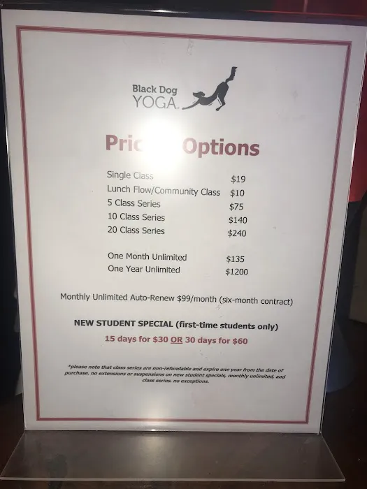 Black Dog Yoga Picture 5