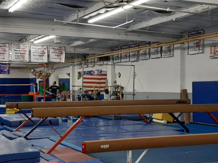 Junior Gym- Home of Lyons Gymnastics Academy Picture 3