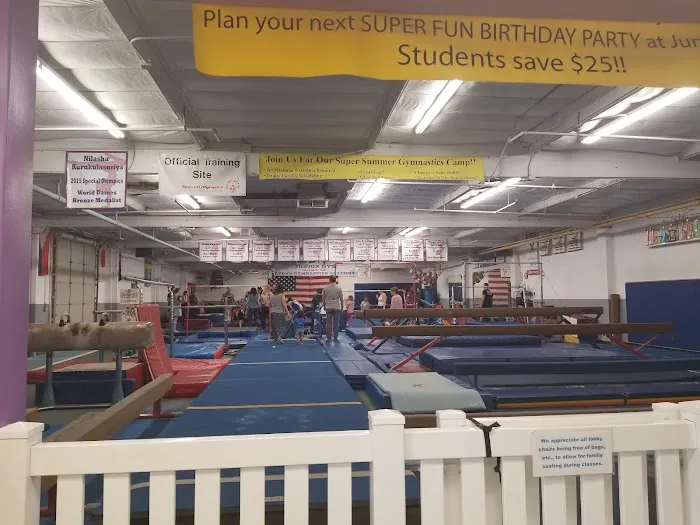 Junior Gym- Home of Lyons Gymnastics Academy Picture 5