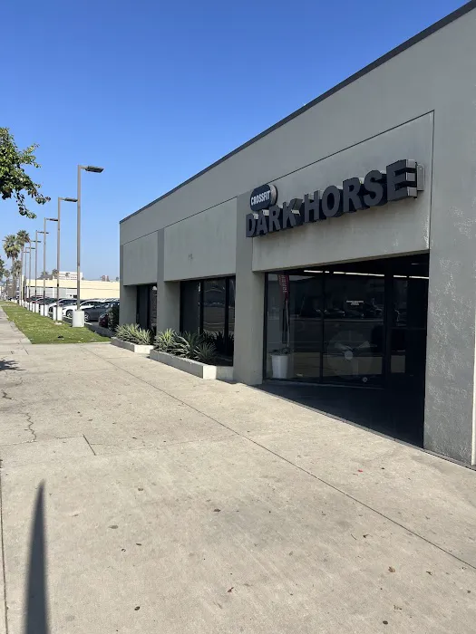 CrossFit Dark Horse Picture 5