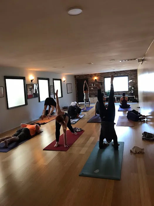 Ashtanga Yoga Traditions/My Petite Shala Picture 3