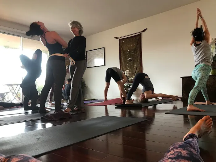 Ashtanga Yoga Traditions/My Petite Shala Picture 2