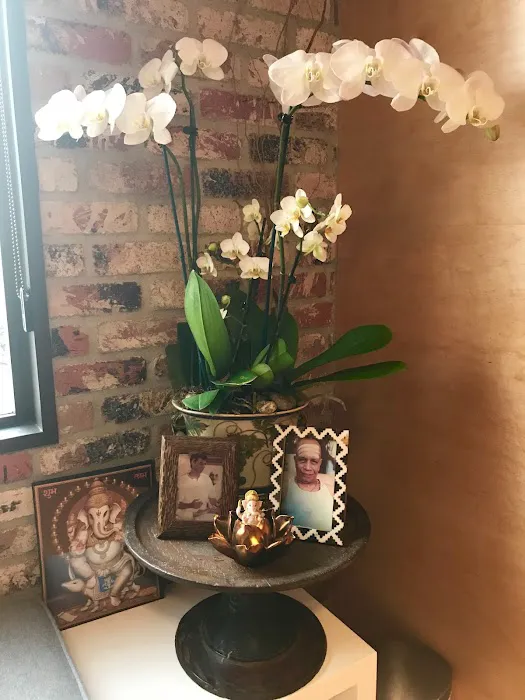 Ashtanga Yoga Traditions/My Petite Shala Picture 8