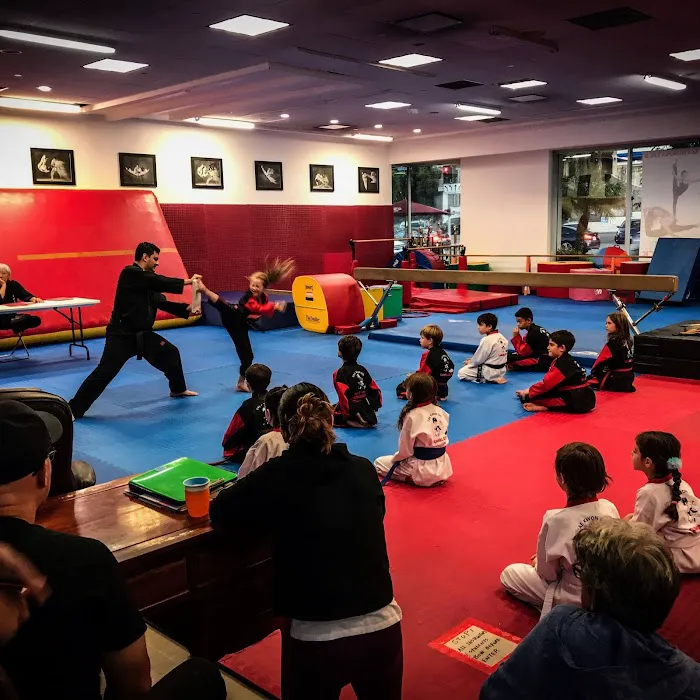 TumbleKick Martial Arts & Gymnastics Studio Picture 9