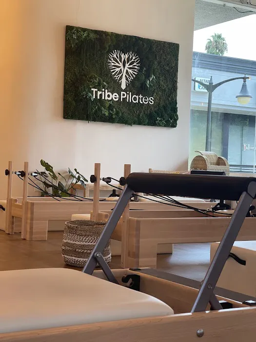 Tribe Pilates Picture 5
