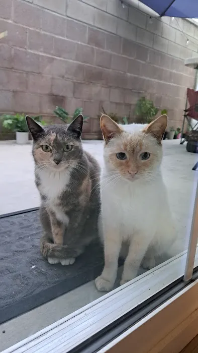 YogaSix Studio City Picture 5