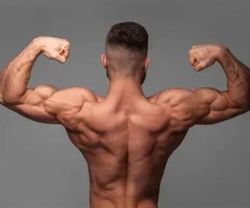 Science-Backed Tips for Improving Your Muscle Gain: Proven Strategies