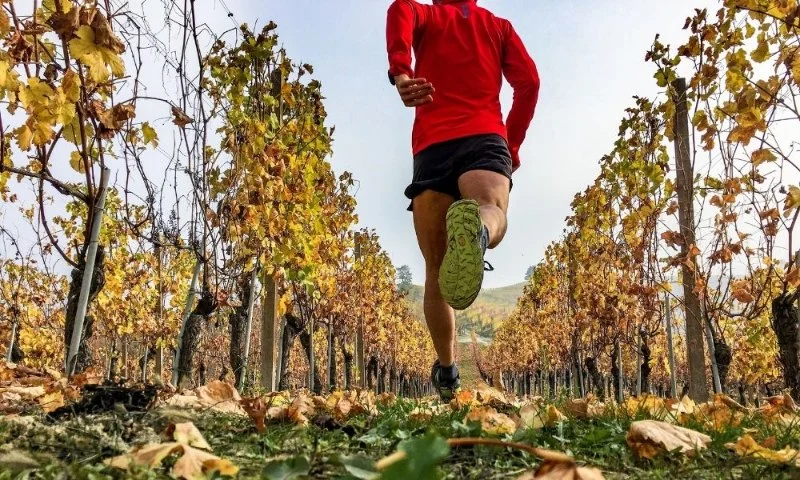 How to Transition From High-Volume Summer Training to Quality Fall Speed Workouts | Hot Fitness