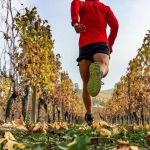 How to Transition From High-Volume Summer Training to Quality Fall Speed Workouts | Hot Fitness