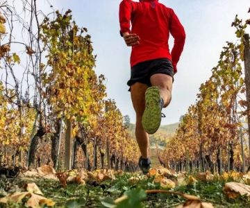 How to Transition From High-Volume Summer Training to Quality Fall Speed Workouts | Hot Fitness