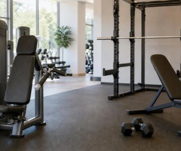 Weight Machines vs Free Weights: How to Choose at the Gym