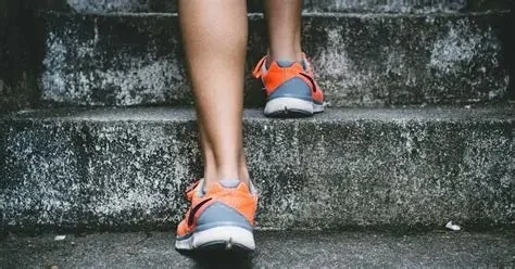 Beginner Home Workout Plan for Weight Loss Guide